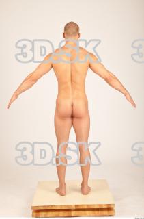 Body texture of Bystrik 0049